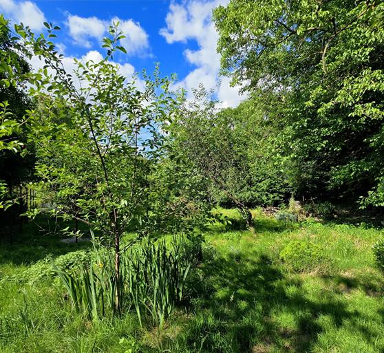 Immobilie - Vorschau