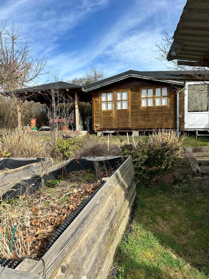 Immobilie - Vorschau